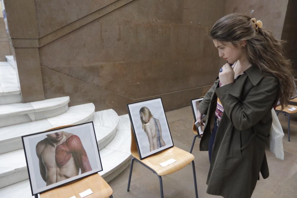 Exposición sobre 'bodypainting' en la Facultat de Medicina