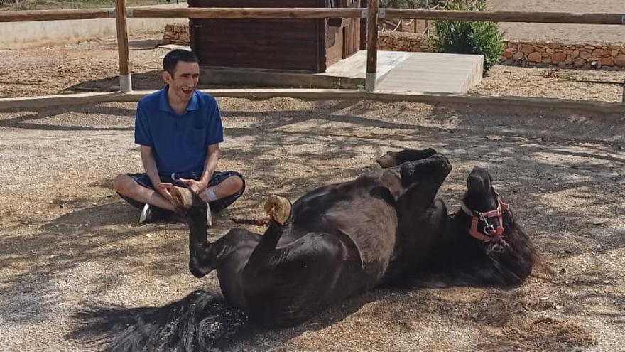 Un usuario de la Residencia El Collet de Benicarló realizando terapia equina con un caballo.