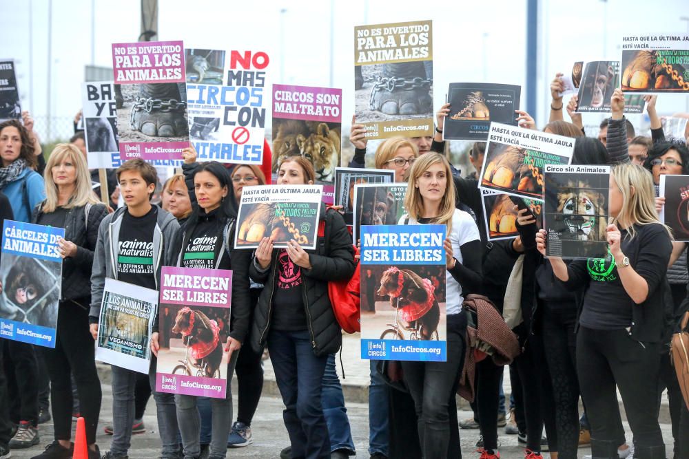 Protesta contra un circo con animales en Alfafar