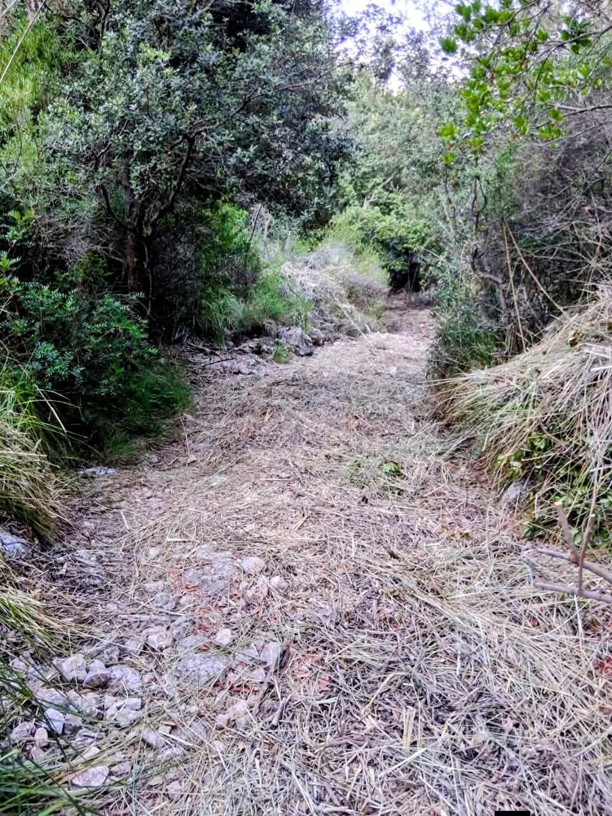 Uno de los caminos de Bunyola.