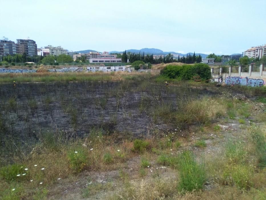 Declarado un incendio de rastrojos en el antiguo canódromo de Palma