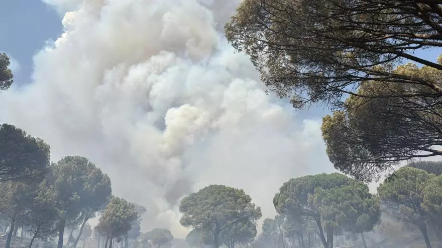La Comunidad de Madrid retira sus medios en el fuego de San Bartolomé de Pinares (Ávila) por evolución favorable