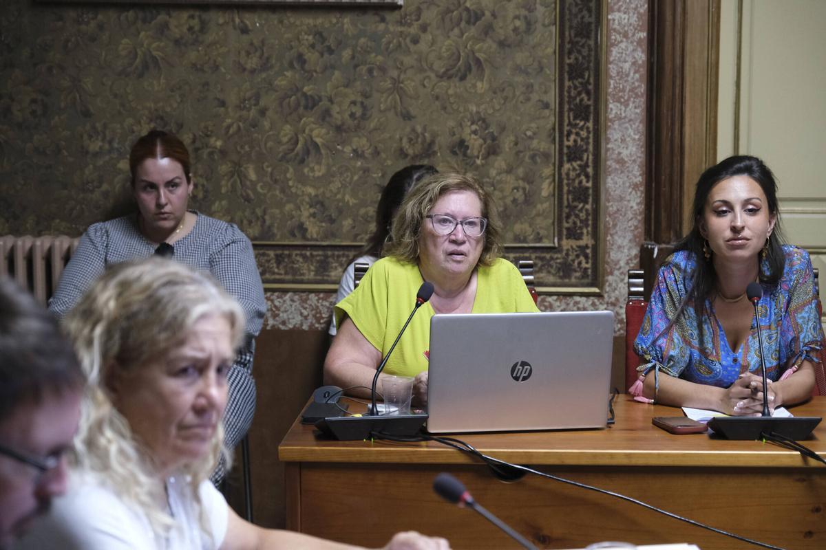 El govern de Moià aprova la modificació urbanística per ampliar el polígon del Prat de Moià