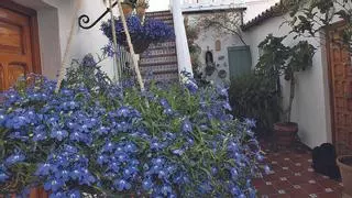 Jesús del Calvario 16