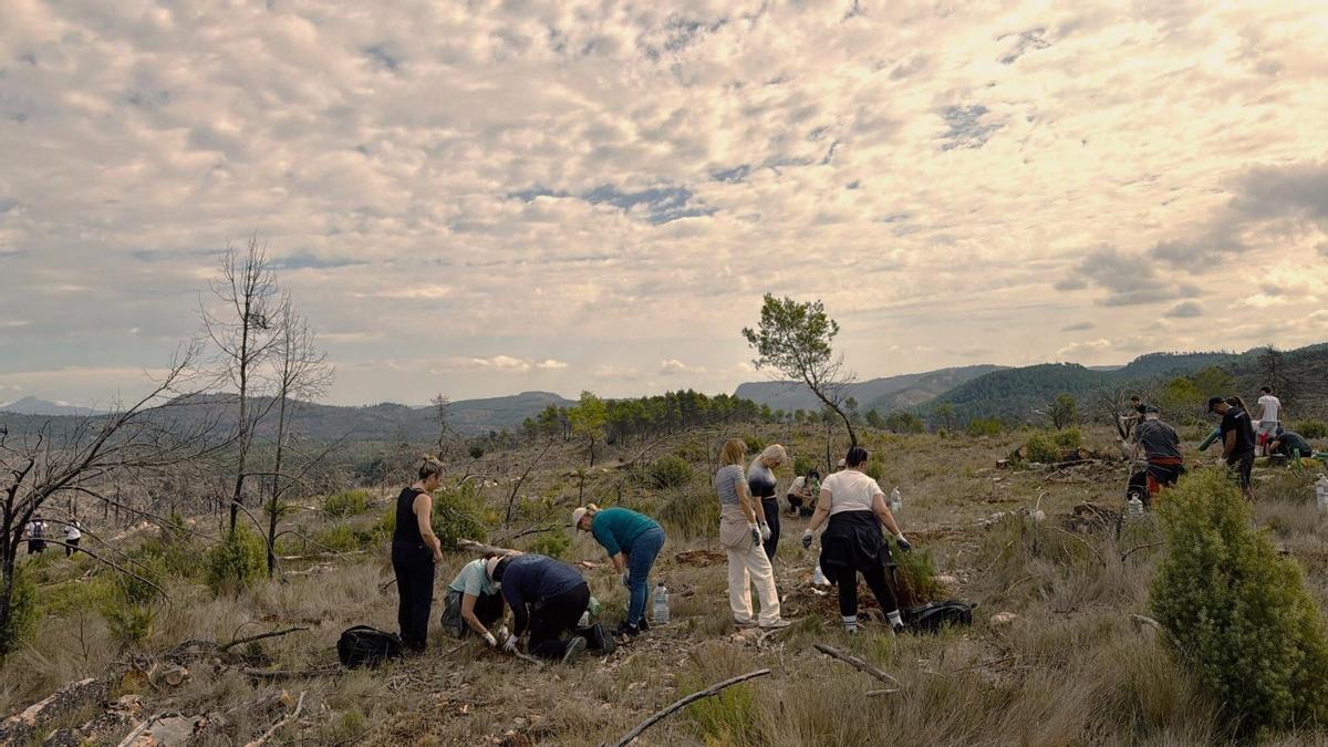 La iniciativa forma parte de un trabajo medioambiental que RH Hoteles viene desarrollando desde hace años y que progresivamente ha ido teniendo una mayor presencia en la gestión diaria de sus establecimientos.