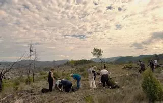 RH Hoteles crea un área específica para sus iniciativas medioambientales y sociales