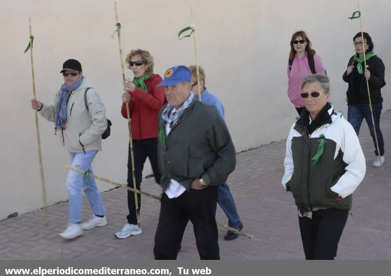 GALERÍA DE FOTOS - Romería Magdalena 2014 (2)