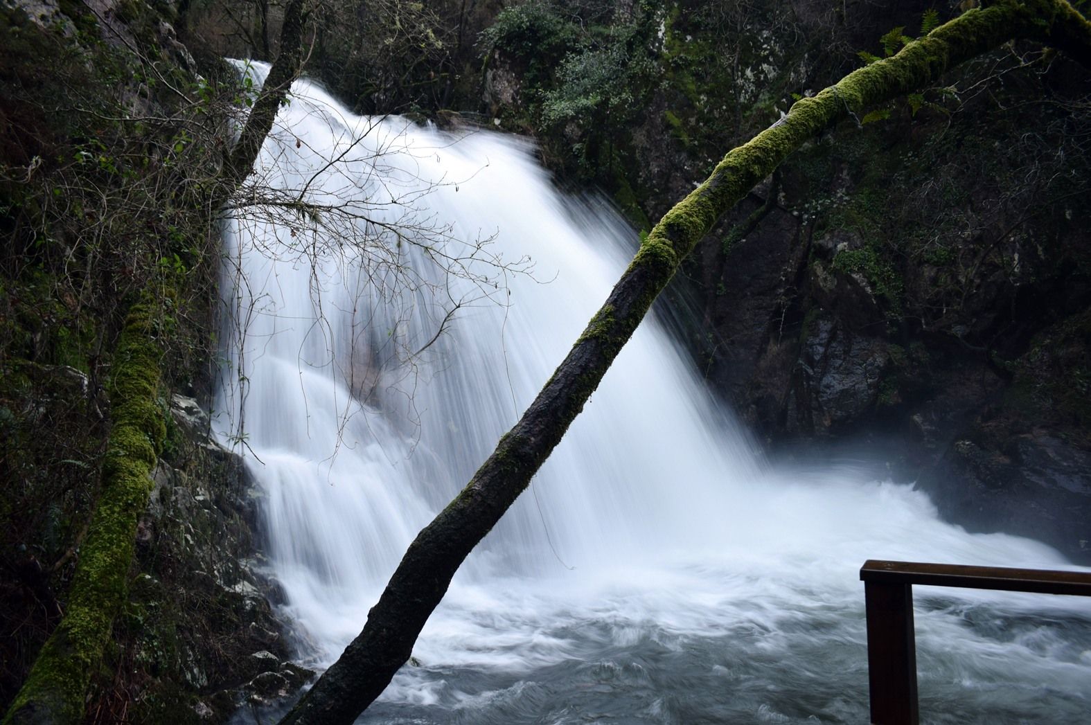 Así lucen con las crecidas las "fervenzas" de Parafita y Raxoi, en el río Valga.