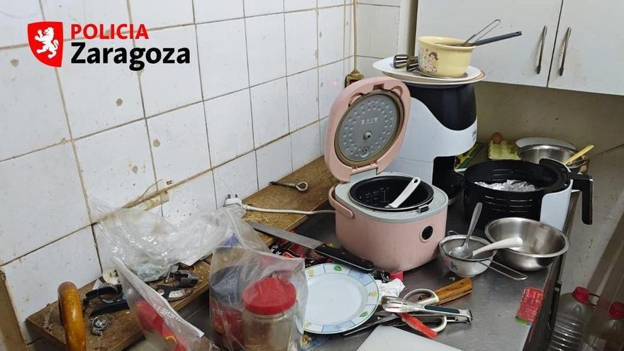 Clausurado un bar de Zaragoza por la presencia de cucarachas en la cocina