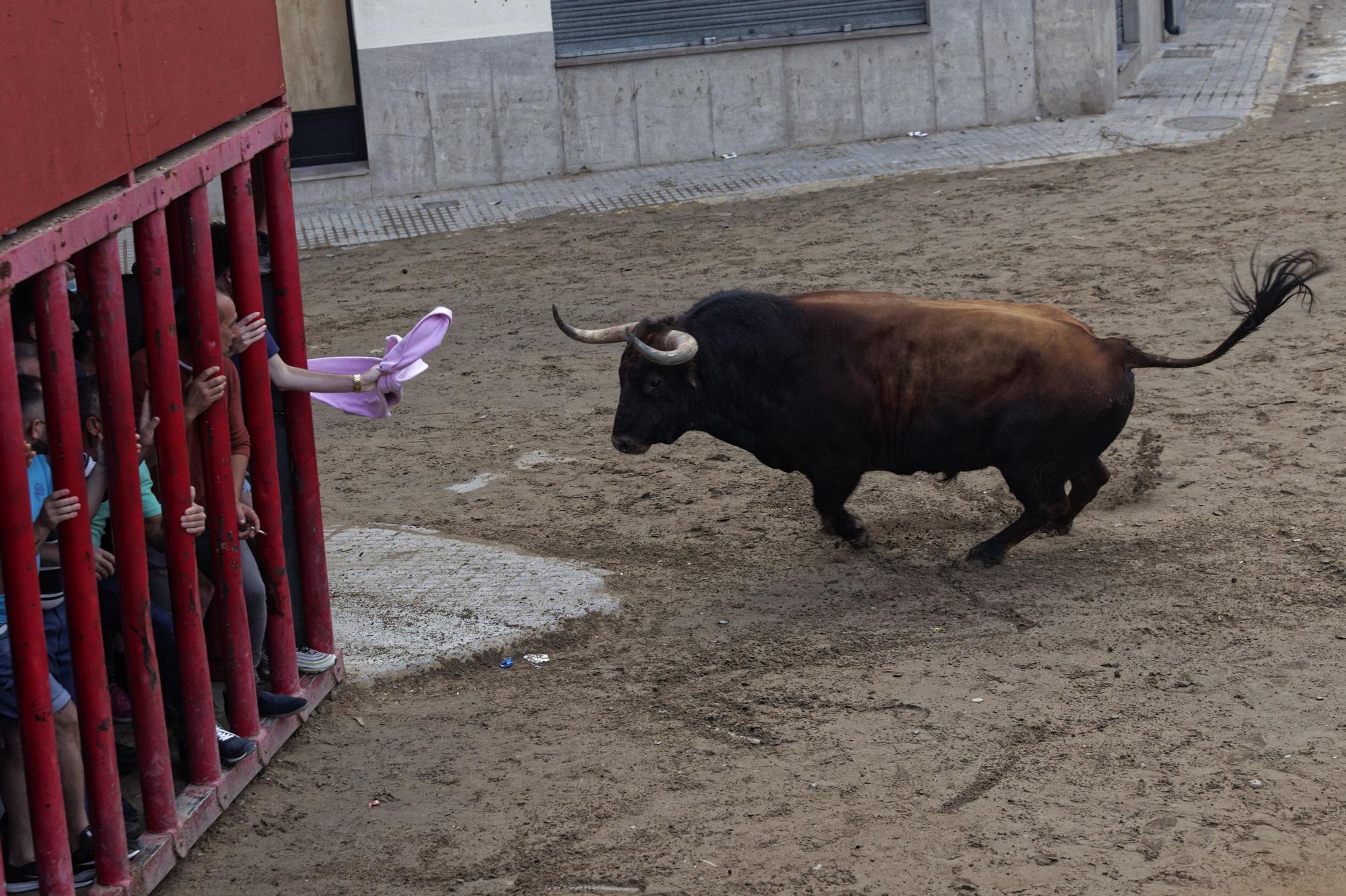 Vive en imágenes la última jornada de la feria taurina del Roser en Almassora