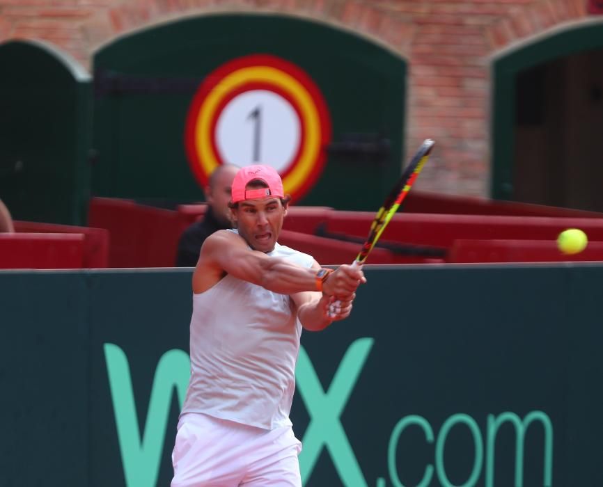 Rafa Nadal y David Ferrer entrenan en Valencia