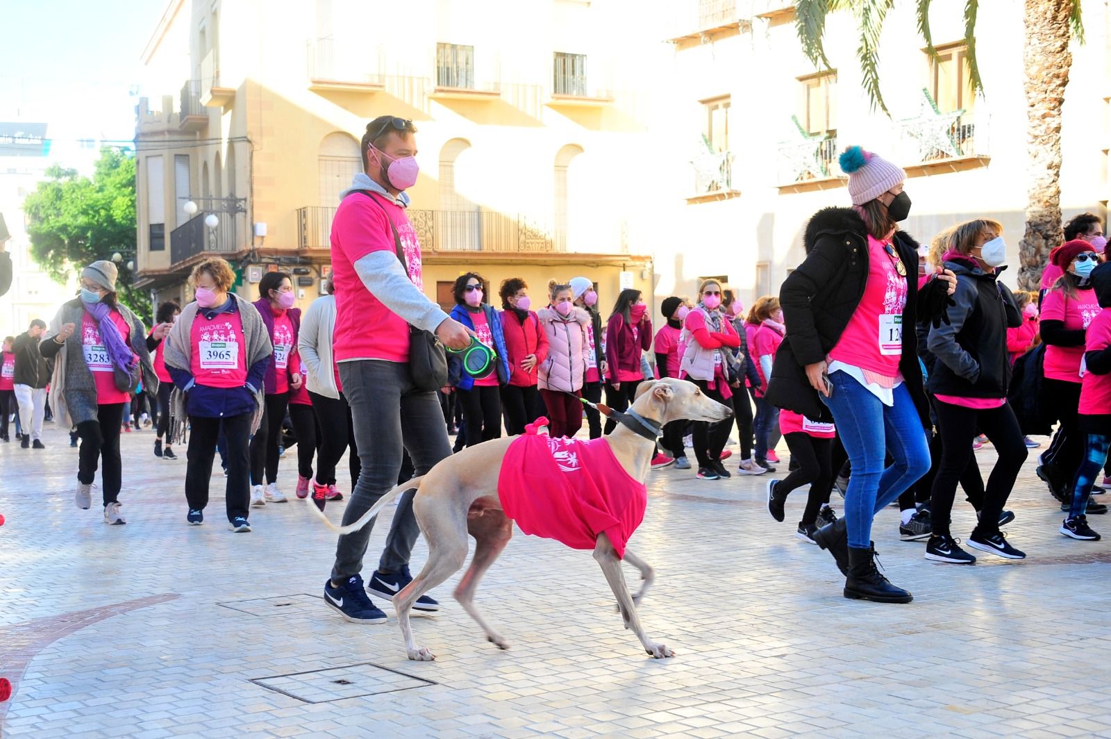 Marea rosa en Elche contra el cáncer de mama