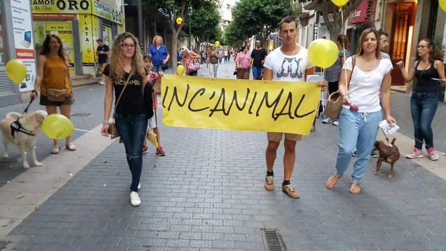 Participantes en la marcha canina del jueves pasado.