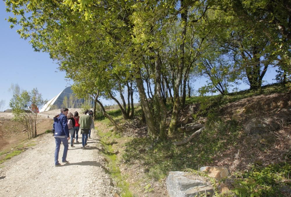 Inauguración del Bosque de Galicia