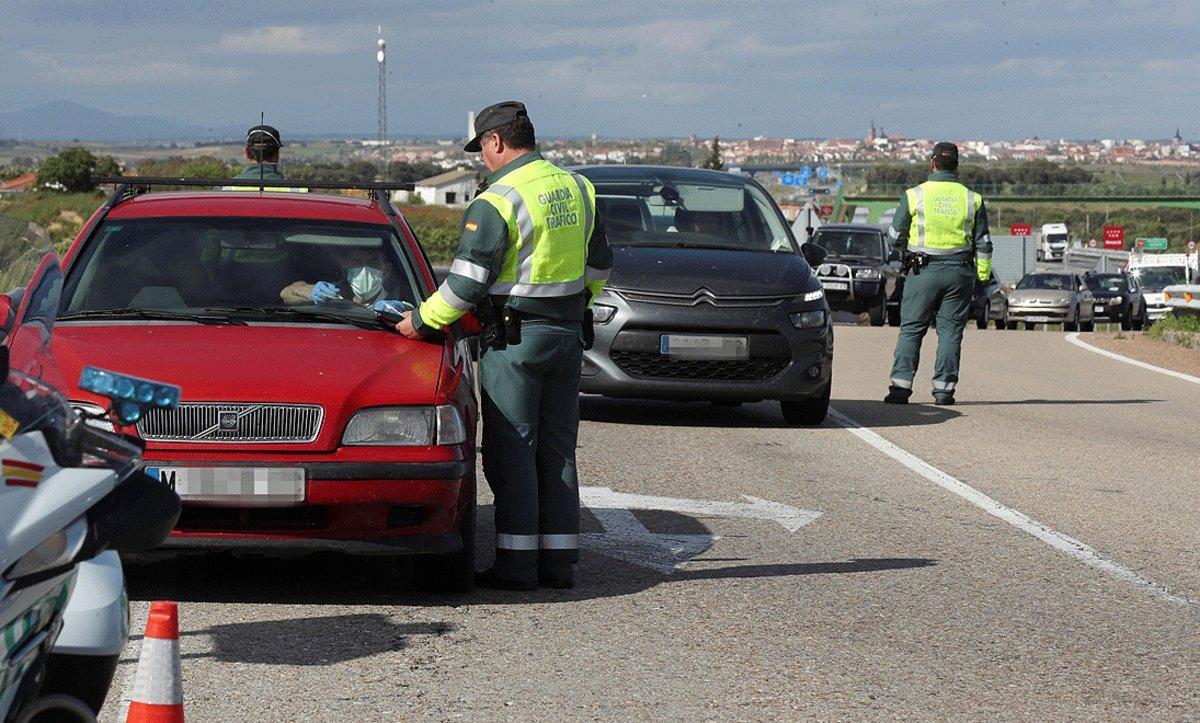 traficook