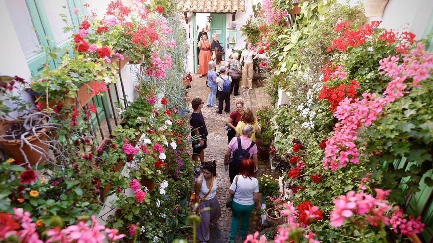 Los Patios de Córdoba abren sus puertas