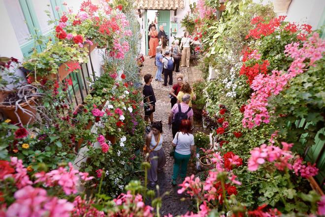 Los Patios de Córdoba abren sus puertas