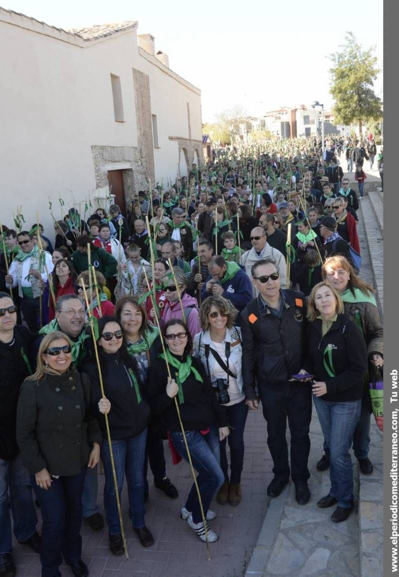 GALERÍA DE FOTOS - Romería Magdalena 2014 (5)