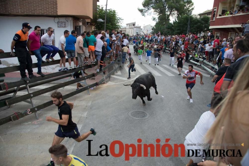 Quinto encierro en Calasparra