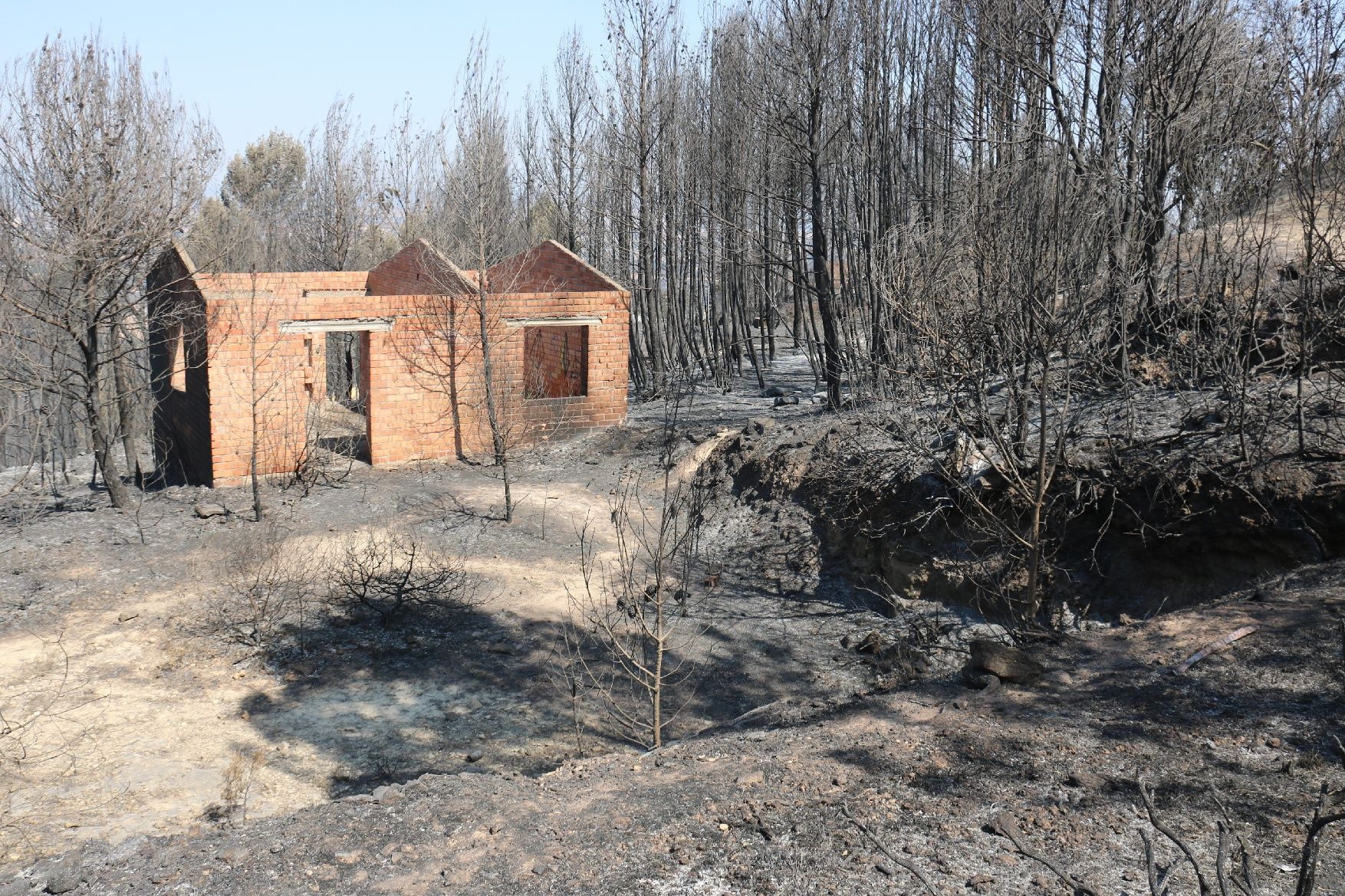 La urbanització River Park arrasada per les flames: veïns desolats i paisatge negre