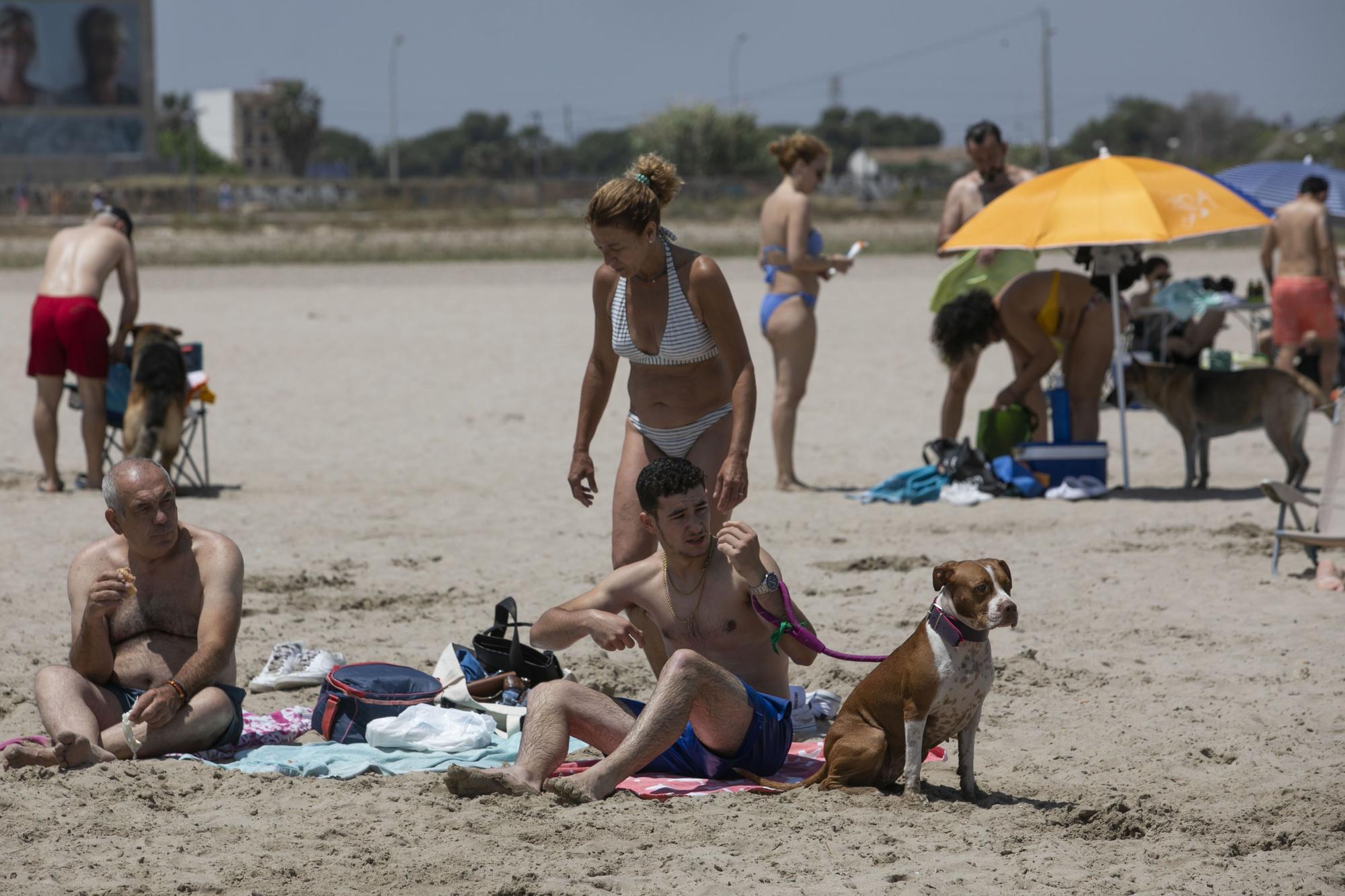 Playa canina de Pinedo