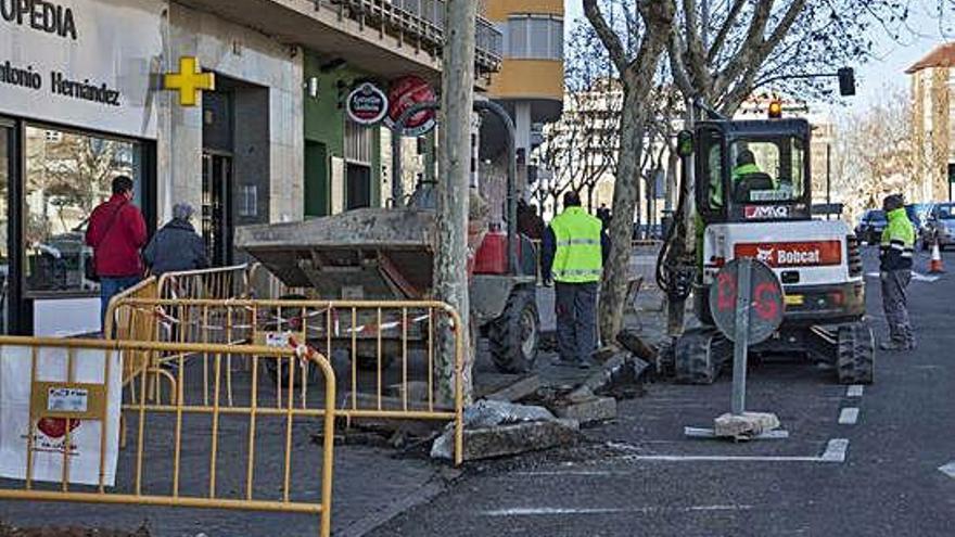 Un grupo de operarios trabaja para mejorar las aceras de la ciudad.