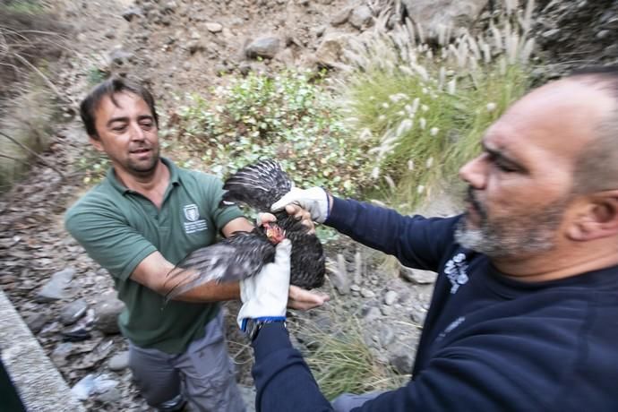 19.09.18. Las Palmas de Gran Canaria. Operarios ...