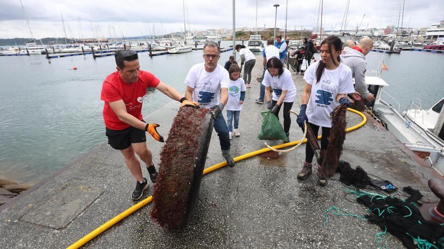 Festival Mar de Mares: gran limpieza de fondos