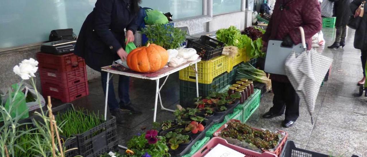 Amadina Blanco, comprando para plantar guisantes y fabes.