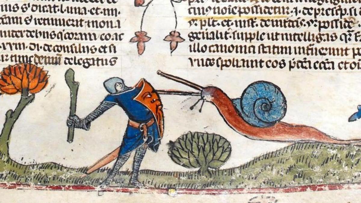 ¿Qué pasó con los 'caracoles guerreros' de la Edad Media?