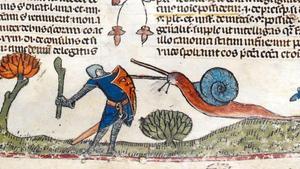 ¿Qué pasó con los caracoles guerreros de la Edad Media?