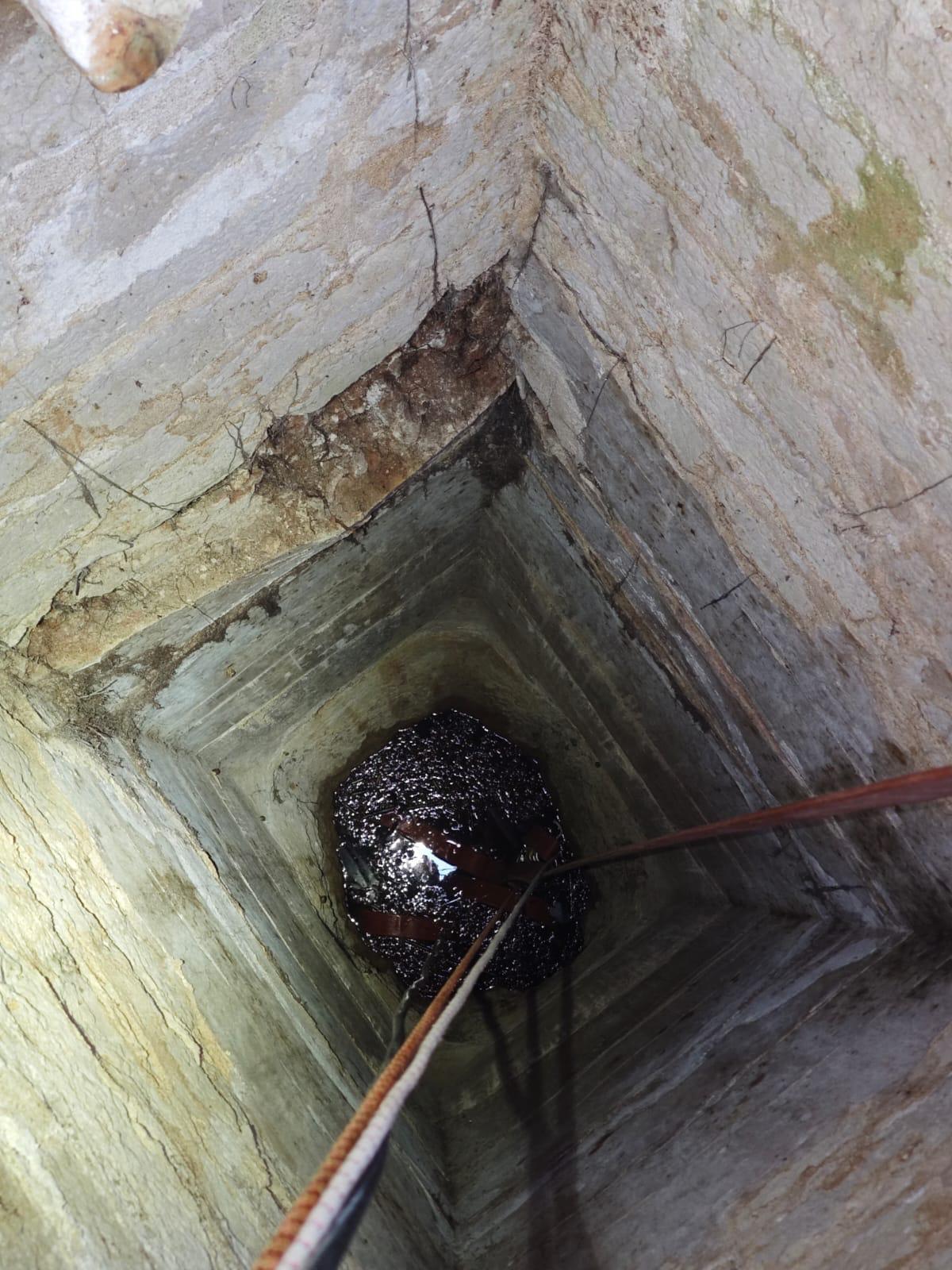 Agua acumulada en el interior de uno de los pozos en los que se ha intervenido.