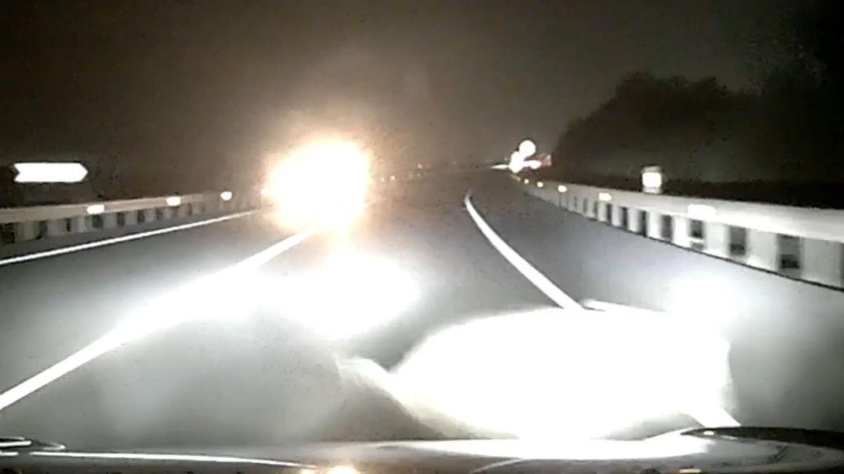 Vídeo de la dashcam de Alejandro en el que se observa el momento del impacto entre su coche y un jabalí