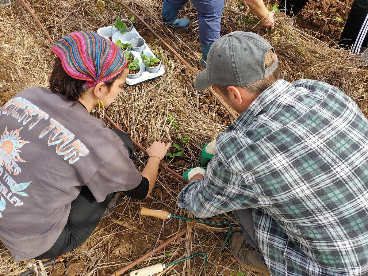 El huerto permite familiarizarse con la labores hortelanas.