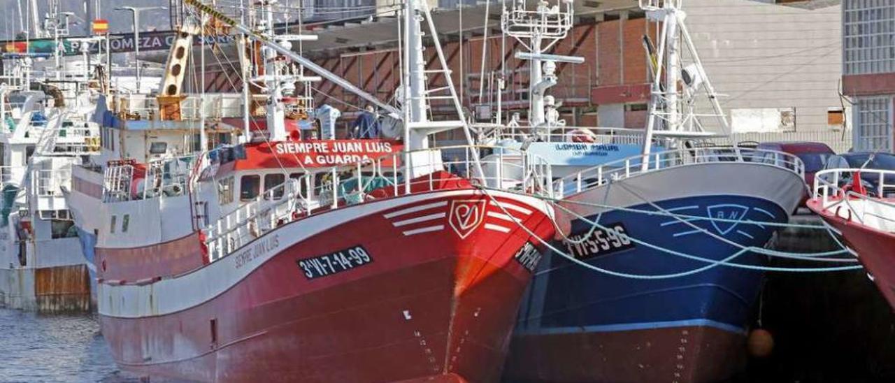 Varios palangreros, en este caso de la flota de Orpagu, amarrados en el puerto de Vigo. // Marta G. Brea