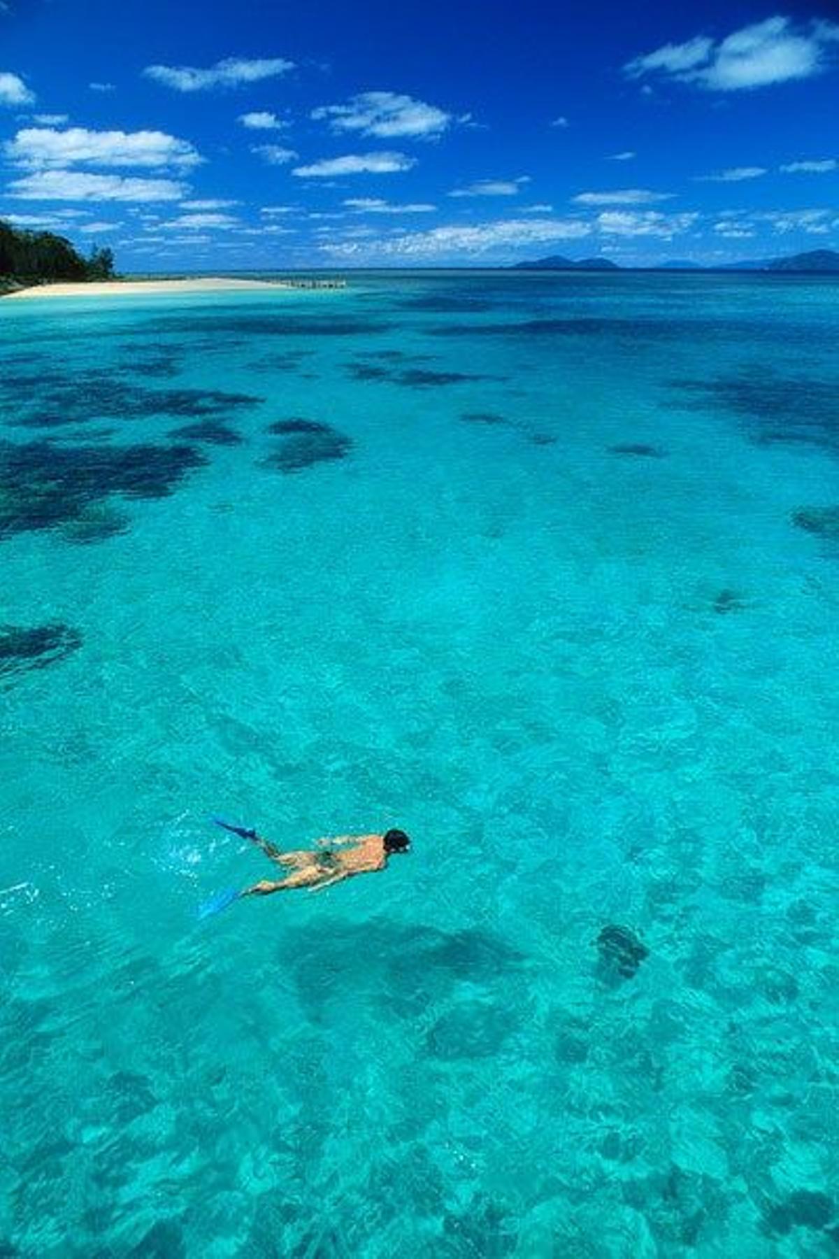 Turista practicando snorkel en la Gran Barrera de Coral.
