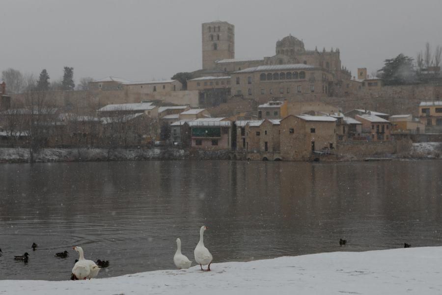 Postales de una Zamora blanca