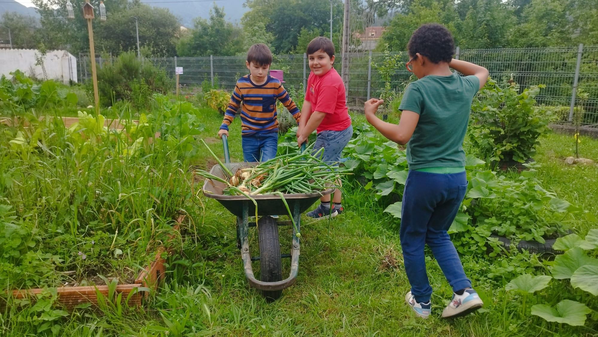 Medalla de Innovación para el huerto escolar del CEIP L'Ablanu de Infiesto