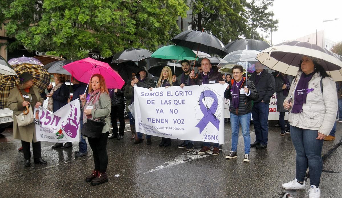 25N: Córdoba se manifiesta contra la violencia machista