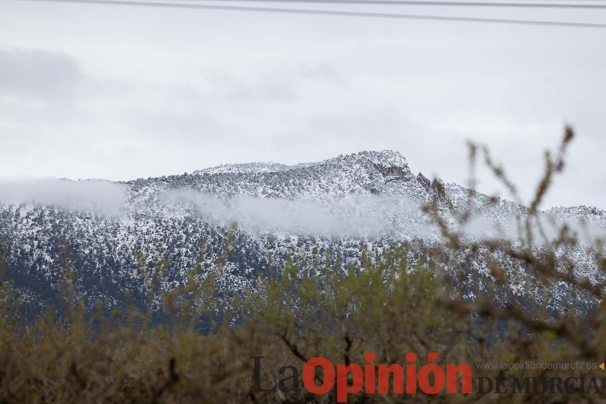 La comarca del Noroeste ofrece una estampa invernal