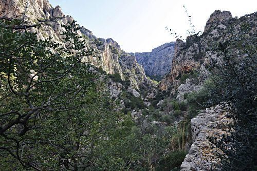 Versteckte Baracken, fast vergessene Geschichten und ganz viel Plackerei: Der Barranc de Biniaraix bei Sóller ist viel mehr als idyllische Wander-Kulisse