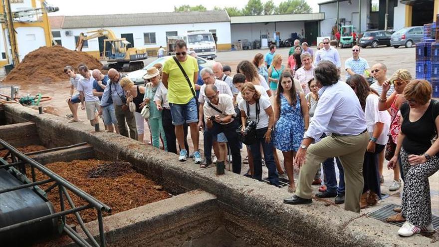 La recolección de la uva aumenta el interés de los turistas un 30%