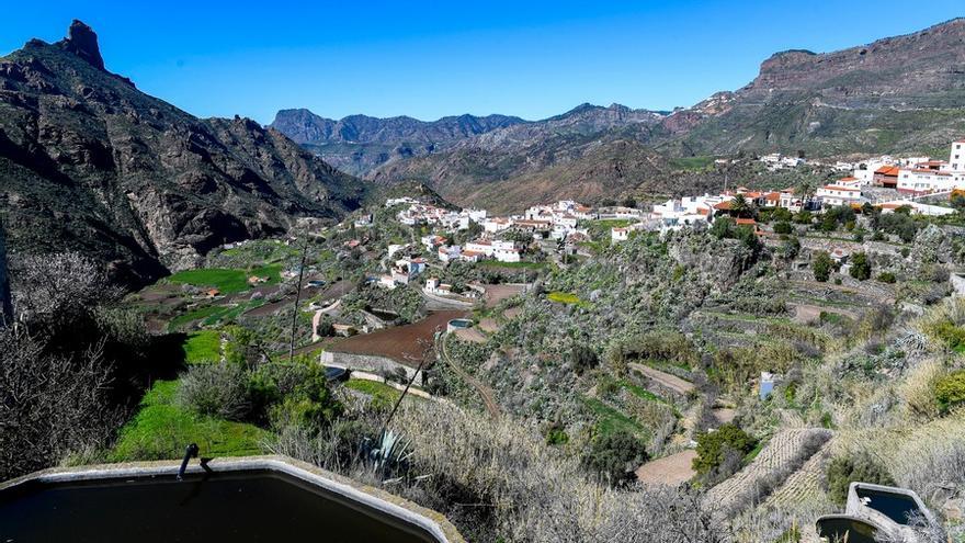 Almendros en flor en la Cumbre de Gran Canaria