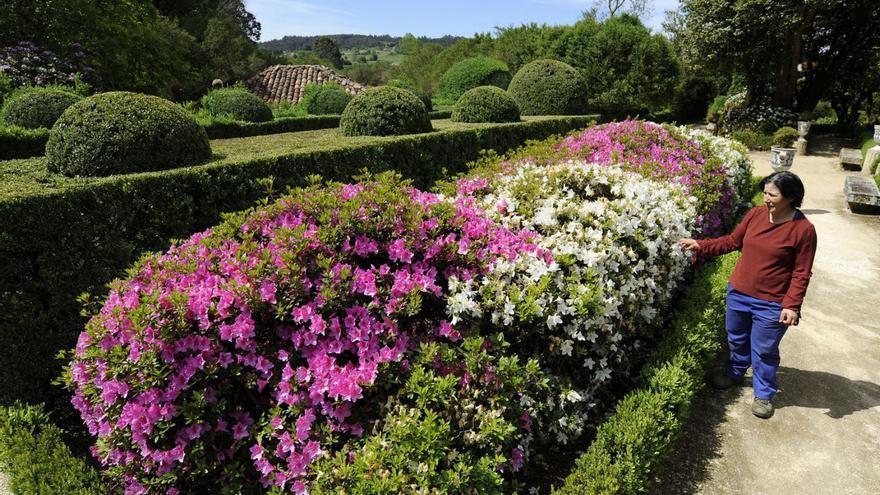 Para jardines, flores