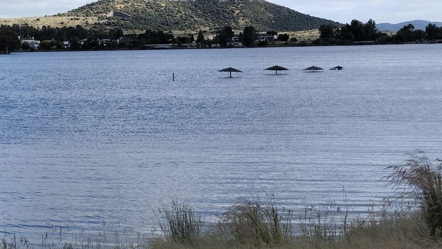 ¿Será posible disfrutar de la zona de playa este verano en Proserpina?