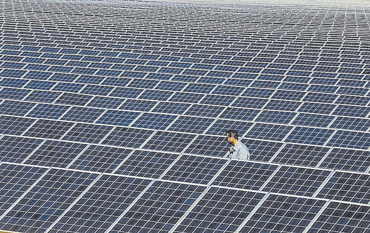 Planta fotovoltaica de la Cooperativa de Crevillent en Elx.
