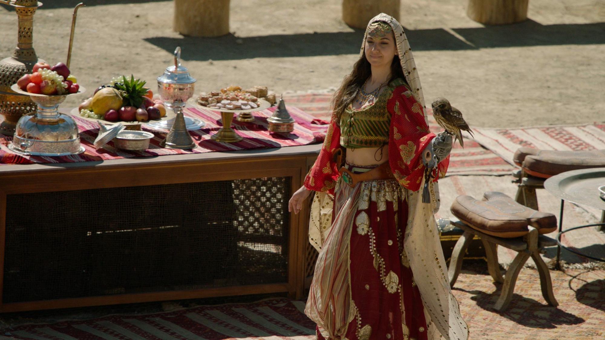 En el parque de Puy du Fou se pueden ver más de 200 aves de unas 25 especies diferentes