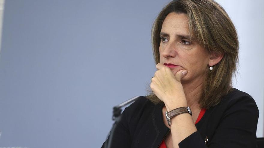 Teresa Ribera, nueva vicepresidenta de Transición Ecológica y Reto Demográfico