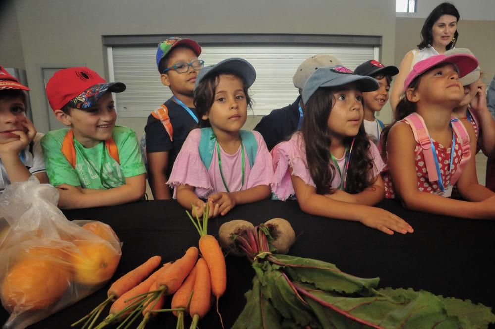 Compras y cocina con los más pequeños en el mercado de Vilagarcía.