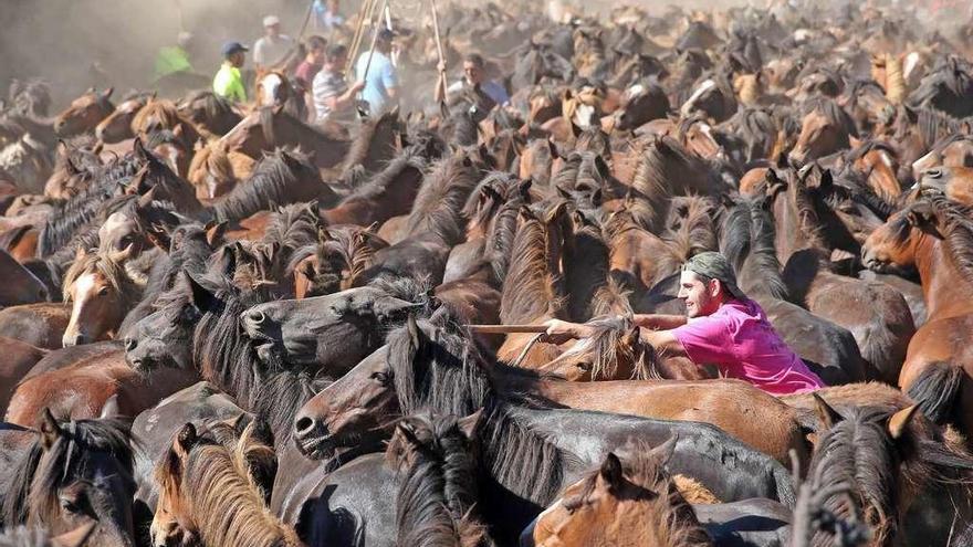 La tradición galopa en Torroña